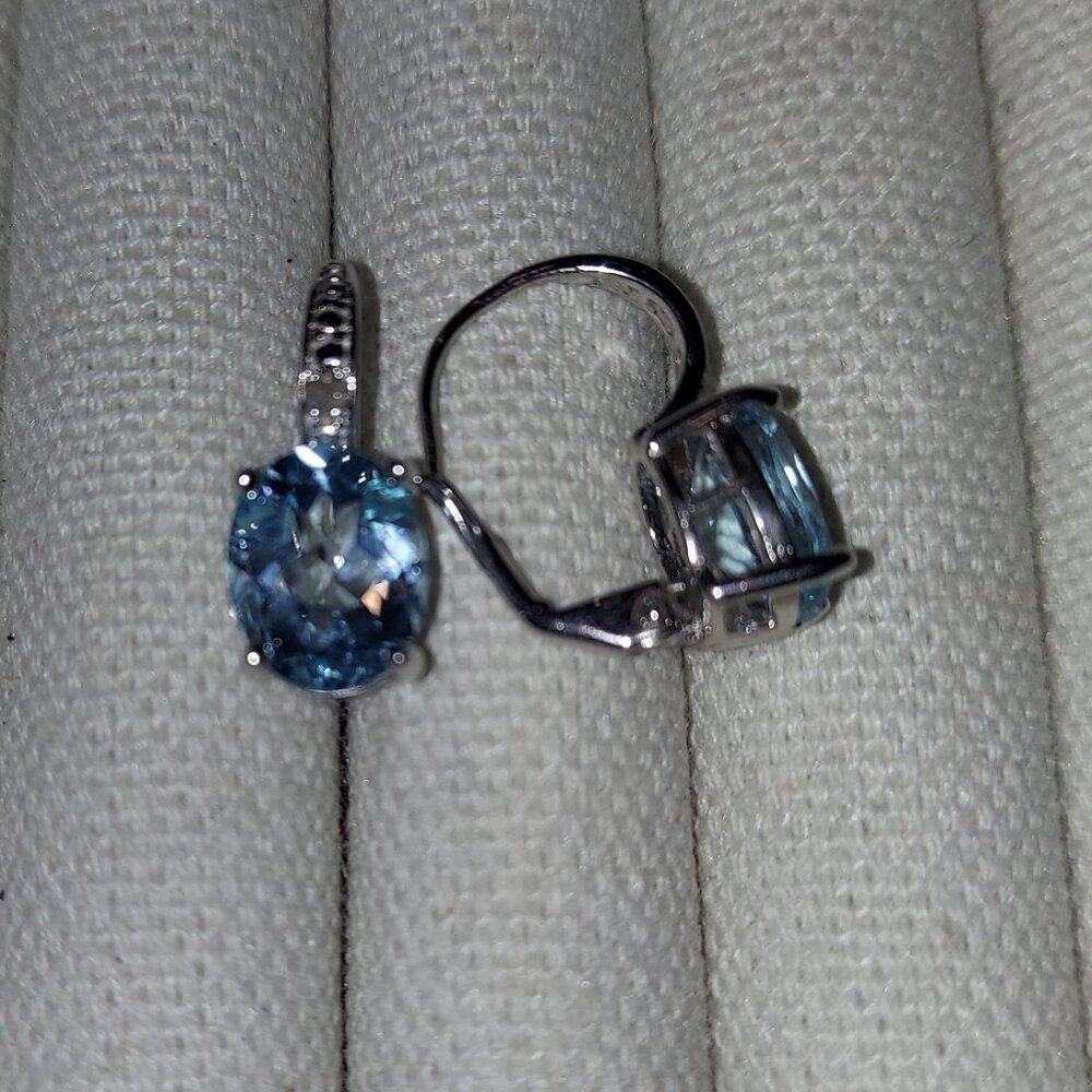 Blue Earrings